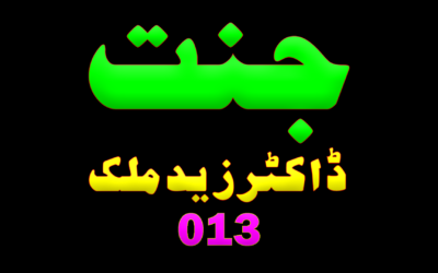 013 جنت۔ ڈاکٹرزید ملک